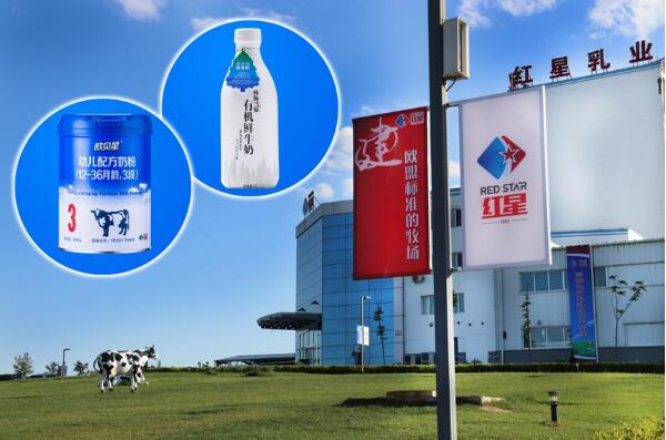 5dbd985d65aa8.jpg 2.jpg