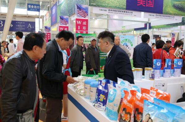 5dbd9c6852c46.jpg 8.jpg