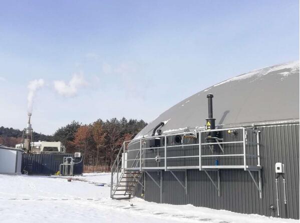 5dbdbbd00df4b.jpg 2.jpg