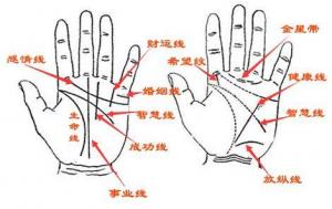 手相怎么看愛(ài)情，哪種手相的人不懂浪漫？