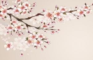 屬牛人在2021年12月可能破財(cái)嗎 財(cái)神到來正財(cái)佳