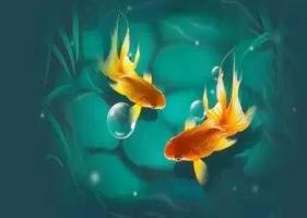 風水魚養(yǎng)幾條好旺財