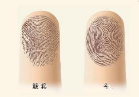 根據(jù)指紋，為你算命，解密手指頭下的人生秘密