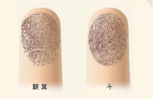 兩位緣主，提供指紋樣式，算一下他們的命理運勢