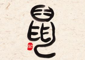 屬鼠女人生于幾月偏財(cái)運(yùn)好 
