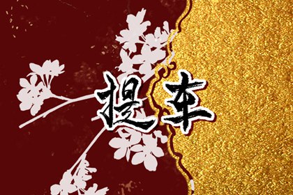 免費(fèi)測(cè)提車吉日?2024年臘月生肖羊接新車什么日子最好