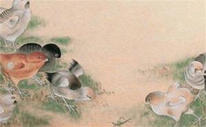 手機(jī)財(cái)運(yùn)數(shù)字 手機(jī)號最旺財(cái)?shù)臄?shù)字