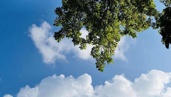 2024年立夏有什么風(fēng)俗活動 2024立夏的傳統(tǒng)習(xí)俗有哪些