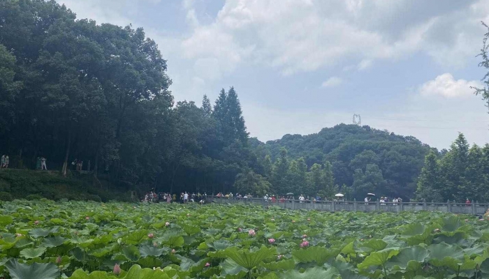 2024年什么時(shí)候立夏 2024年立夏是幾時(shí)幾分幾秒