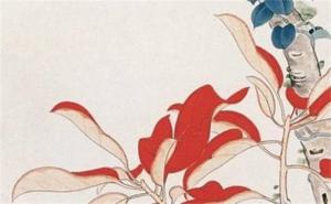 手機(jī)號后四位數(shù)字命理 旺財?shù)氖謾C(jī)號尾數(shù)