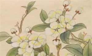 火命手機(jī)號最旺財?shù)奈矓?shù) 五行屬火手機(jī)號碼選擇