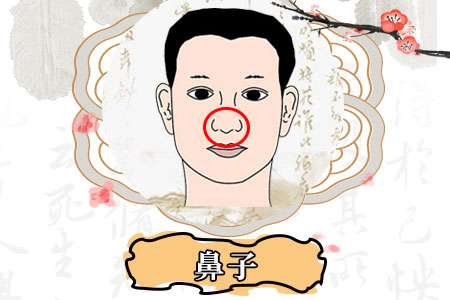 鼻孔外露的財運如何,容易破財?shù)拿嫦? /></p><strong><label style=