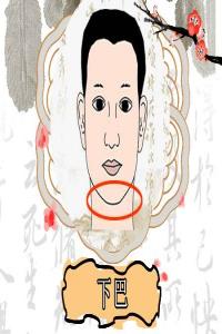 下巴長(zhǎng)的人財(cái)運(yùn)如何,面相下巴詳解