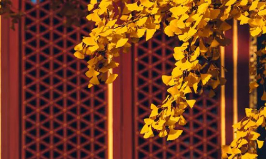 2024年4月18日宜進(jìn)火入宅嗎 這天是最佳入宅好日子嗎