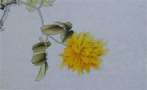 手機尾號最聚財?shù)臄?shù)字 手機尾號吉利推薦