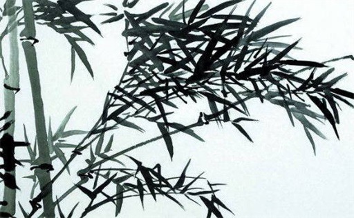 數(shù)字能量學(xué)手機(jī)號解析 手機(jī)號碼看性格事業(yè)財運