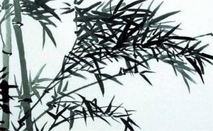 數(shù)字能量學(xué)手機號解析 手機號碼看性格事業(yè)財運