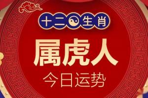 生肖屬虎的人今日運(yùn)勢(shì)詳解2024年1月2日特吉生肖
