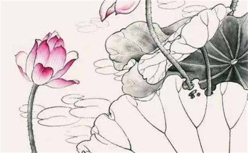 最招財?shù)臄?shù)字1到81 號碼運(yùn)勢查詢手機(jī)號碼