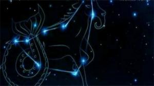 哪個星座能駕馭摩羯座