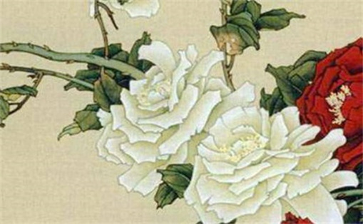 尾號5556手機號寓意什么 手機號碼尾數(shù)什么數(shù)字好
