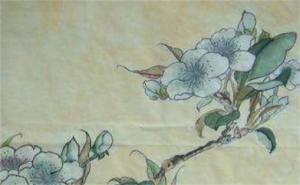 手機(jī)尾號9003好不好 吉利手機(jī)號碼查詢免費(fèi)