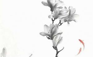 手機(jī)尾數(shù)后四位旺財(cái)8877 如何選擇手機(jī)號碼吉利數(shù)字
