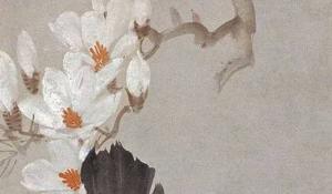 貓砂盆放門口影響風(fēng)水嗎 不影響要謹慎選擇貓砂
