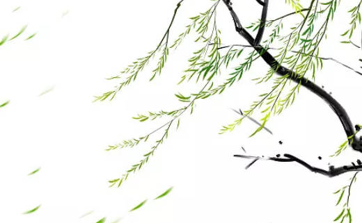 2024年正月初四忌結(jié)婚 結(jié)婚敬茶吉利話(huà)推薦
