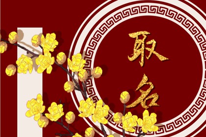 陳姓好聽(tīng)稀少的男孩名字2023 陳姓屬兔男孩取名