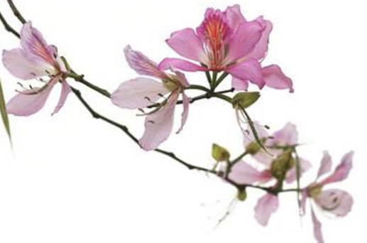 2024年4月28日是適合開(kāi)業(yè)的嗎 最宜開(kāi)業(yè)的時(shí)辰是何時(shí)