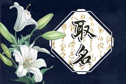 好聽有創(chuàng)意的水果店名字 簡潔大氣的水果店名字