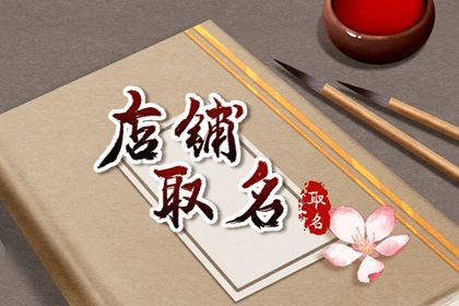 顯得大氣有底蘊(yùn)的圖書(shū)館名字