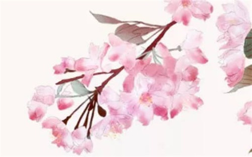 中年發(fā)大財?shù)陌俗钟惺裁刺攸c 中年發(fā)大財?shù)母纳品椒? width=