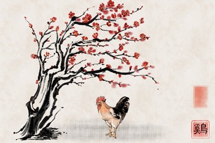 庚子年出生女命運程好不好