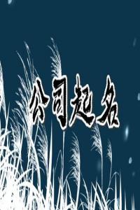 2024龍年好聽(tīng)有內(nèi)涵的公司名字