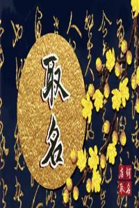 龍年別致獨(dú)特的飾品店鋪名字
