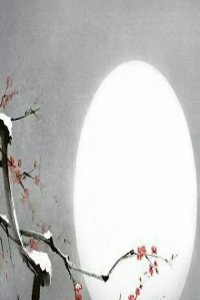 財(cái)星為忌妻子長的丑嗎