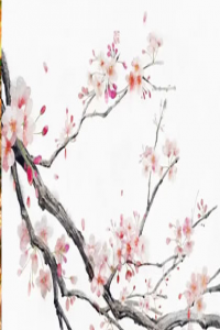 辰時(shí)出生的小孩有什么說法 辰時(shí)出生是什么命格