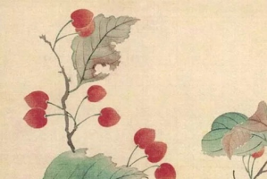2024年松柏木命財(cái)運(yùn)好嗎 松柏木命干什么生意發(fā)財(cái)
