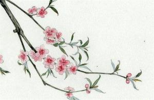 哪一年出生屬于辛丑年 1901年、1961年、2021年、2081年、2141年