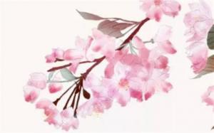 中年發(fā)大財?shù)陌俗钟惺裁刺攸c 中年發(fā)大財?shù)母纳品椒?>
                            </div>
                            <dl class=