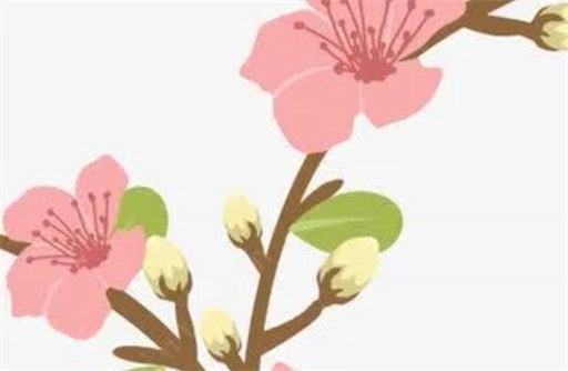 女命流年財(cái)官會(huì)結(jié)婚嗎 流年財(cái)生官女命姻緣