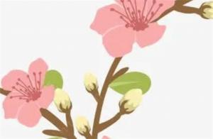 女命流年財官會結婚嗎 流年財生官女命姻緣