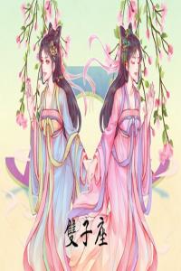 雙子座2024年運(yùn)勢(shì)詳解完整版