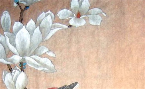 女性手機(jī)號(hào)碼有什么好最好 怎樣選手機(jī)號(hào)碼對(duì)自己有利