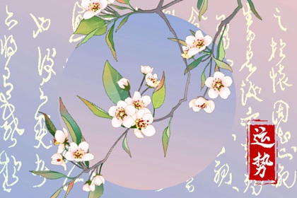 2024年星座運(yùn)勢(shì)排行榜：哪些星座將迎來運(yùn)勢(shì)巔峰？