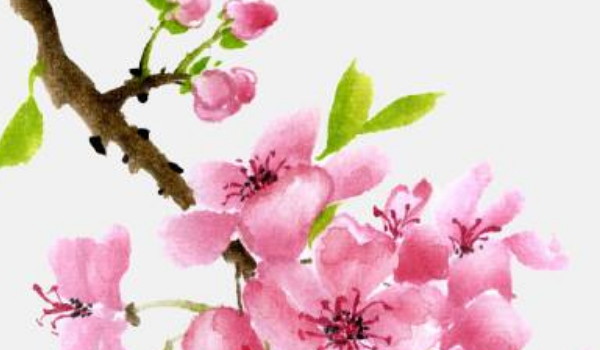 2024年農(nóng)歷六月安裝入戶(hù)門(mén)吉日 什么時(shí)候宜安門(mén)