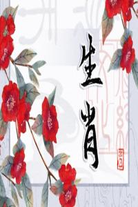 缺心眼的生肖男大揭秘，無(wú)腦行為引眾嘲