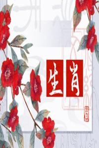 愚蠢至極的生肖女，誰(shuí)的表現(xiàn)最讓人失望